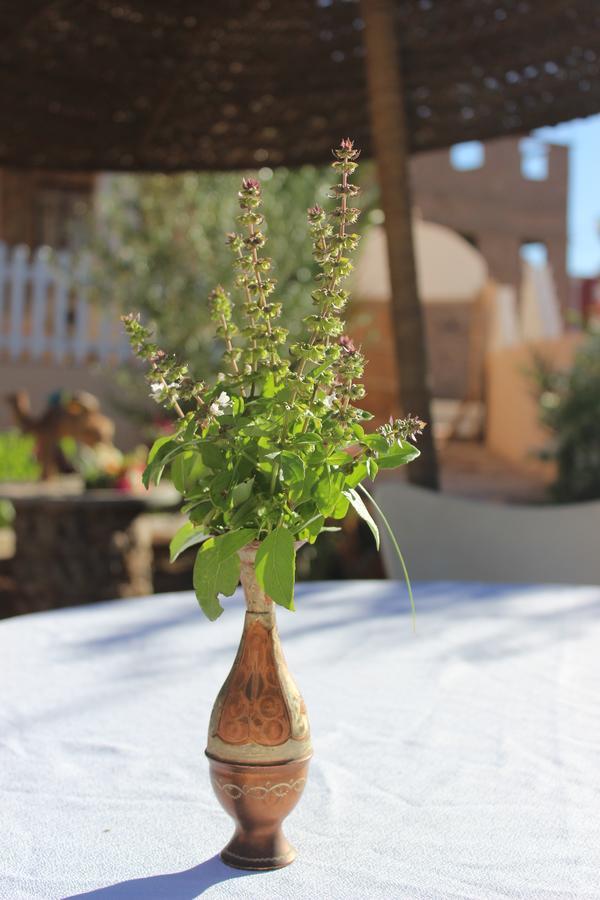 Riad Hiba Foum Zguid Buitenkant foto