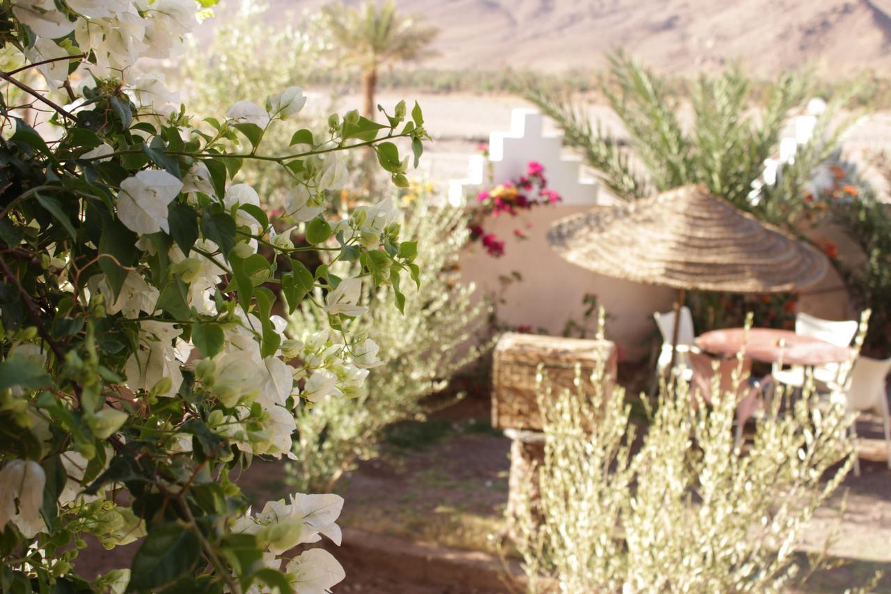 Riad Hiba Foum Zguid Buitenkant foto